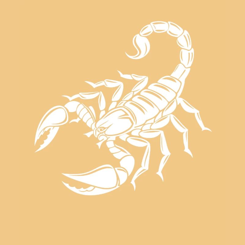 Scorpion - Dard venimeux - Conservation des espèces - Habitat