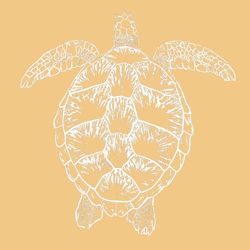 Turtle white2