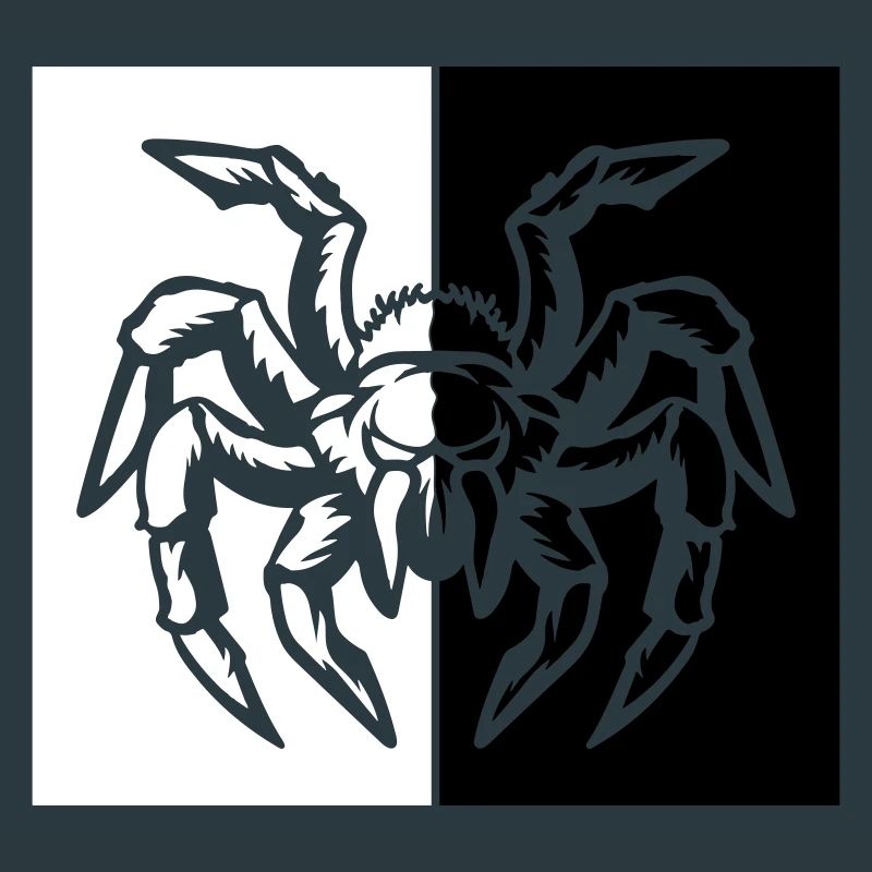 spider spider