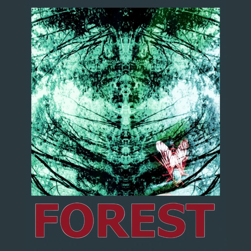 Forest Reflection and Butterfly