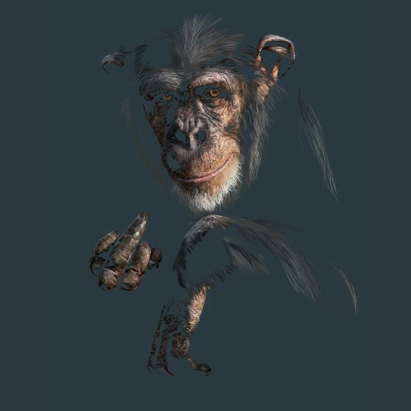 Chimpanzee