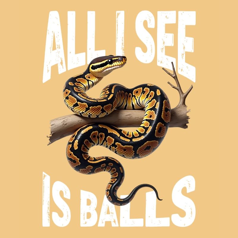 Python roi Serpents Amateurs de terrarium Python