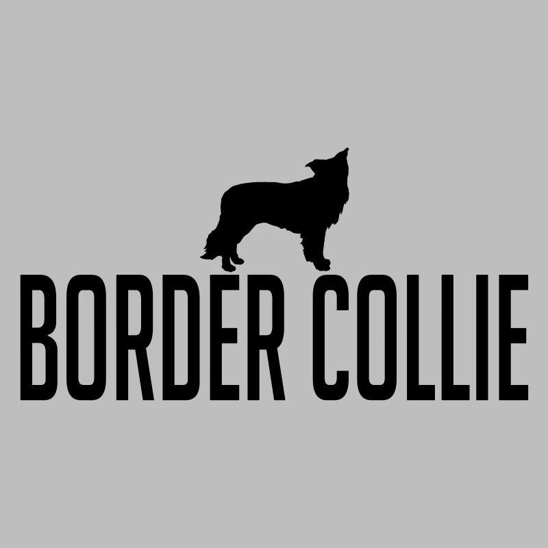BORDER COLLIE Hunderasse
