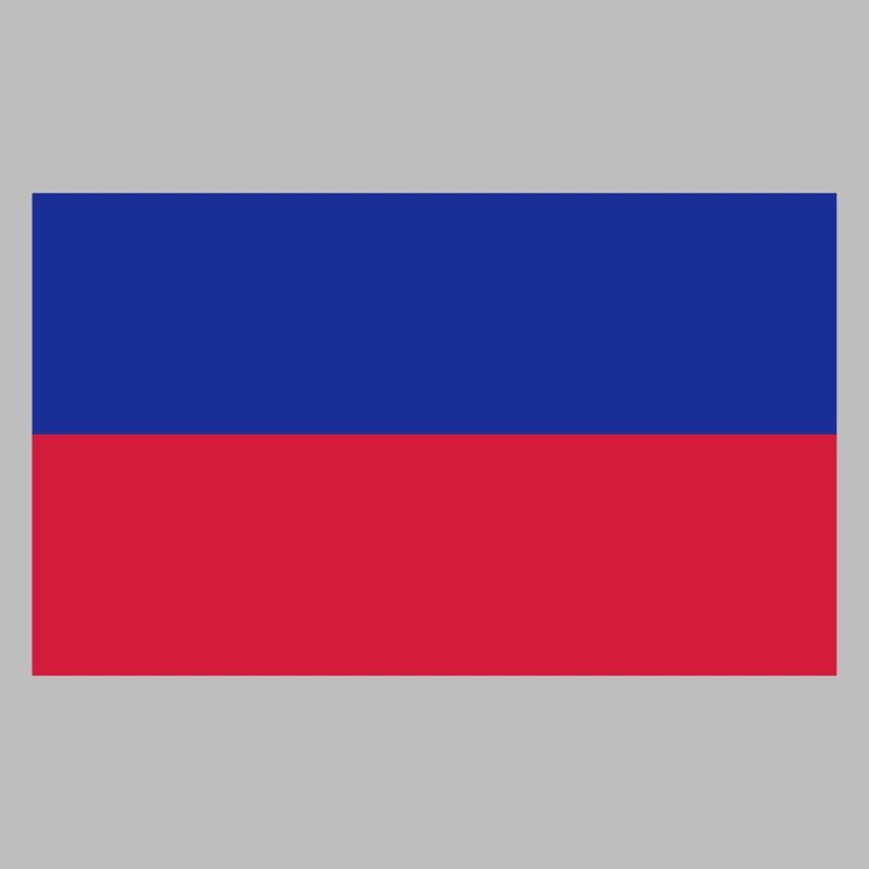 Drapeau national d'Haïti