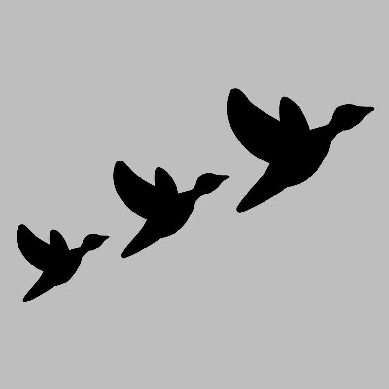 ducks