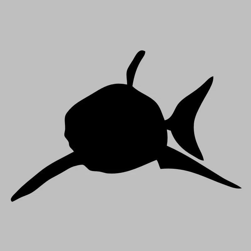 requin shark silhouette ombre shadow2