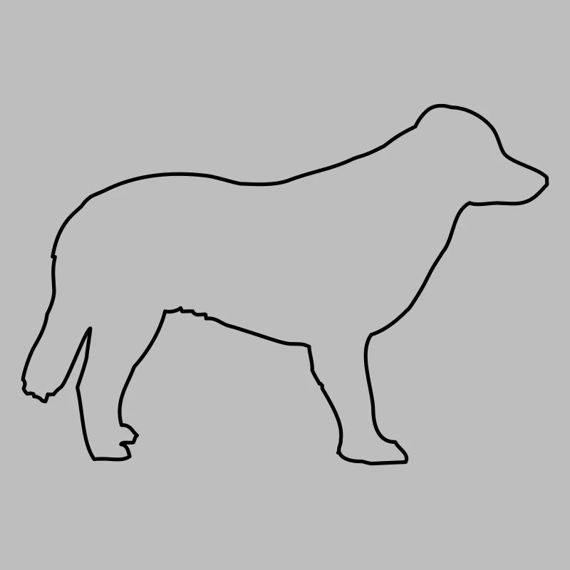 Chien