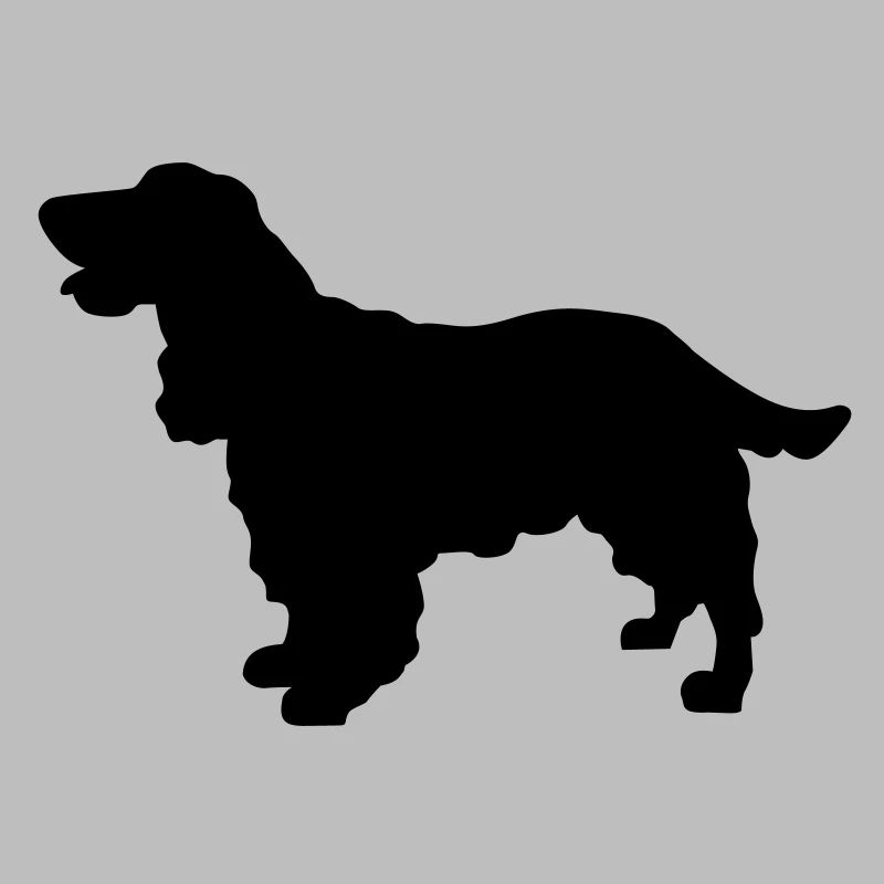 Cocker Spaniel chien