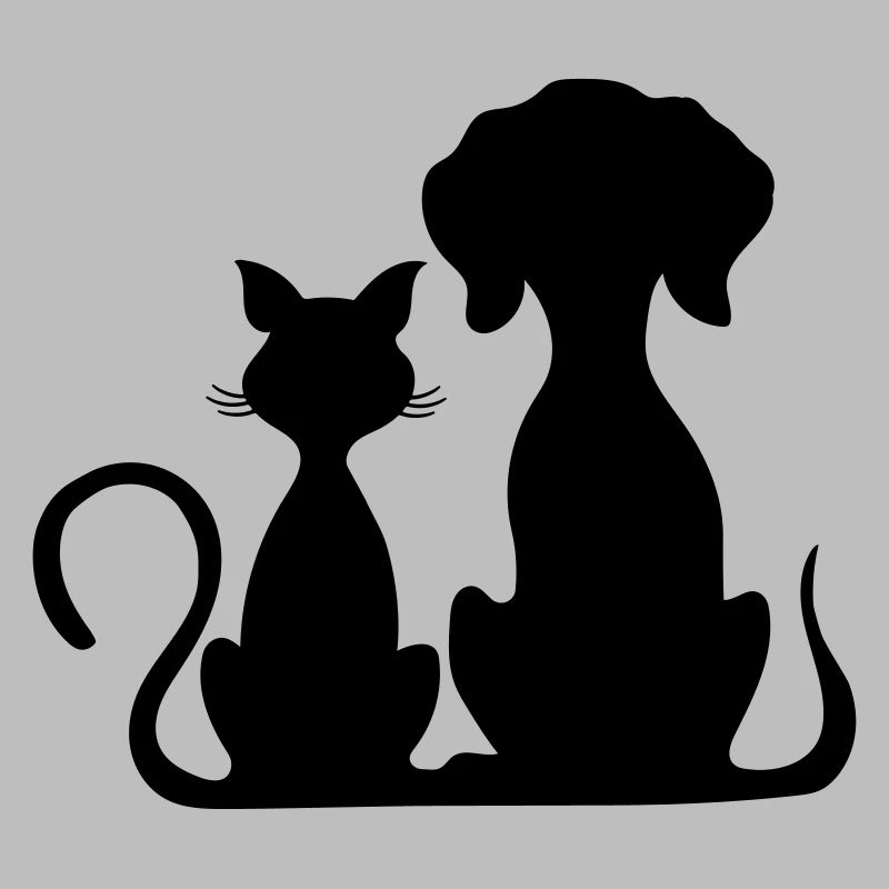 hund und katze
