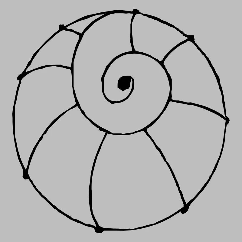 shell