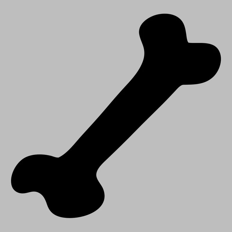 Knochen - Bone