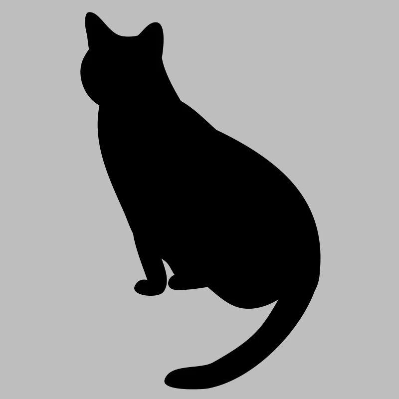 Katze