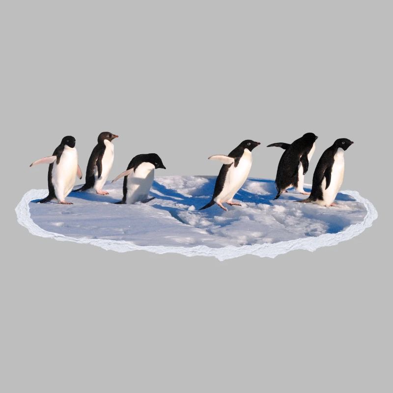 Pinguine auf einer Eisscholle Pinguin
