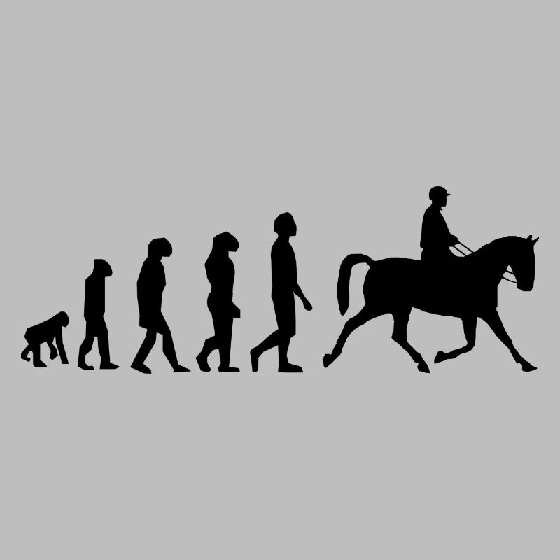 Équitation évolution