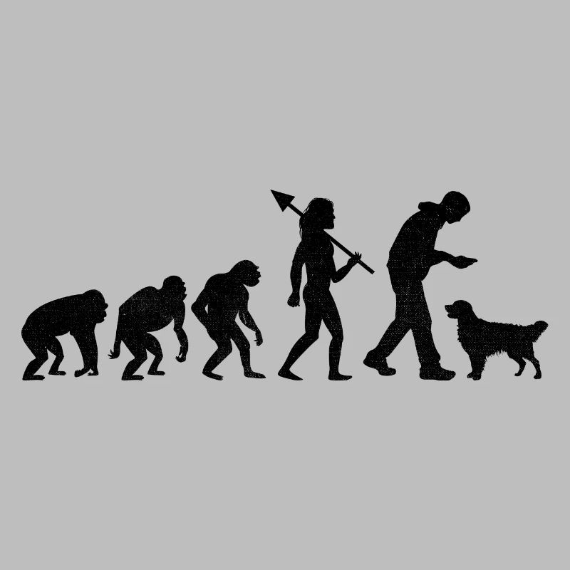 Evolution Golden Retriever GR Dog Retrievers