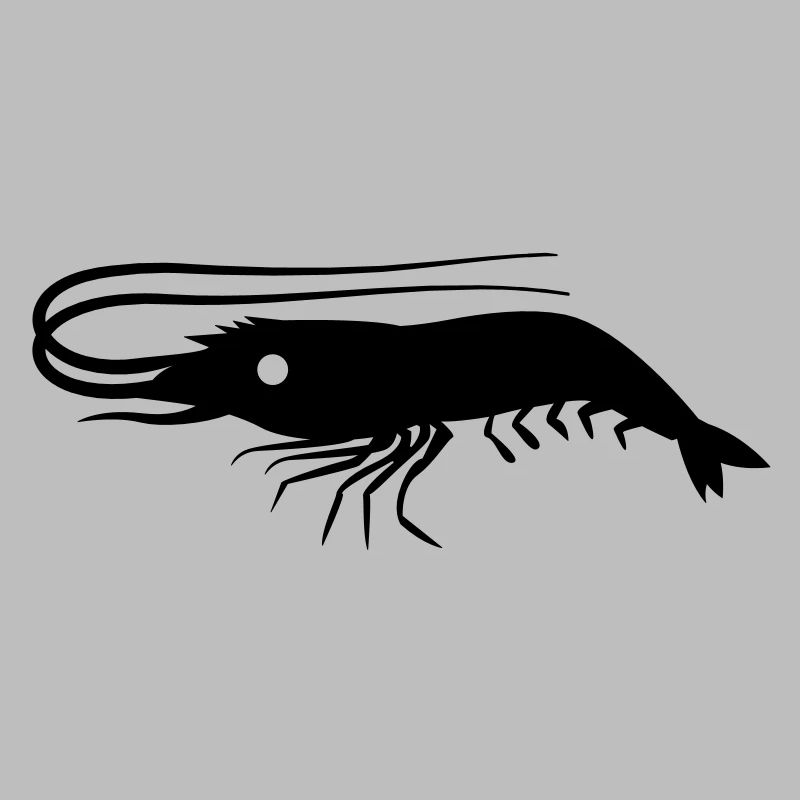 single shrimp prawn with antennae