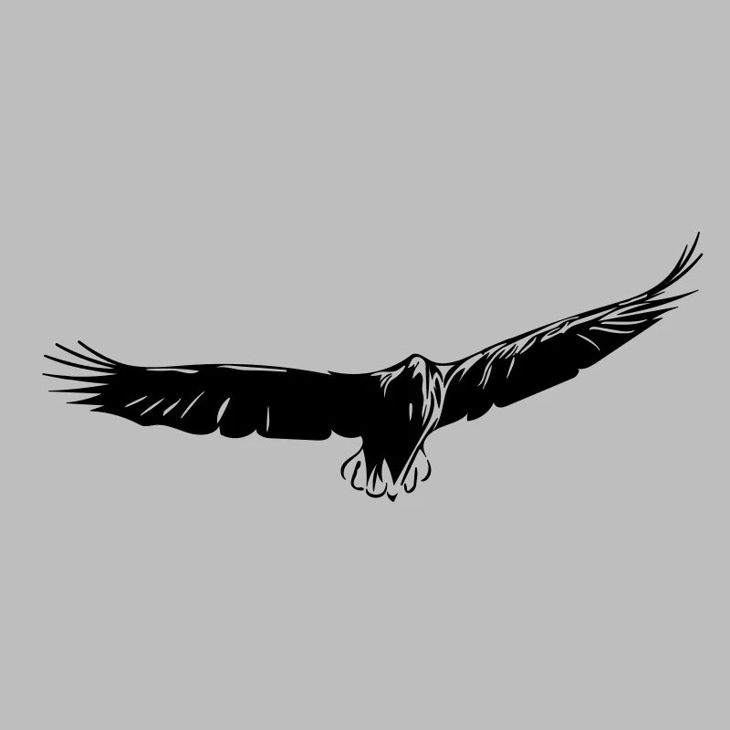 Adler im Gleitflug
