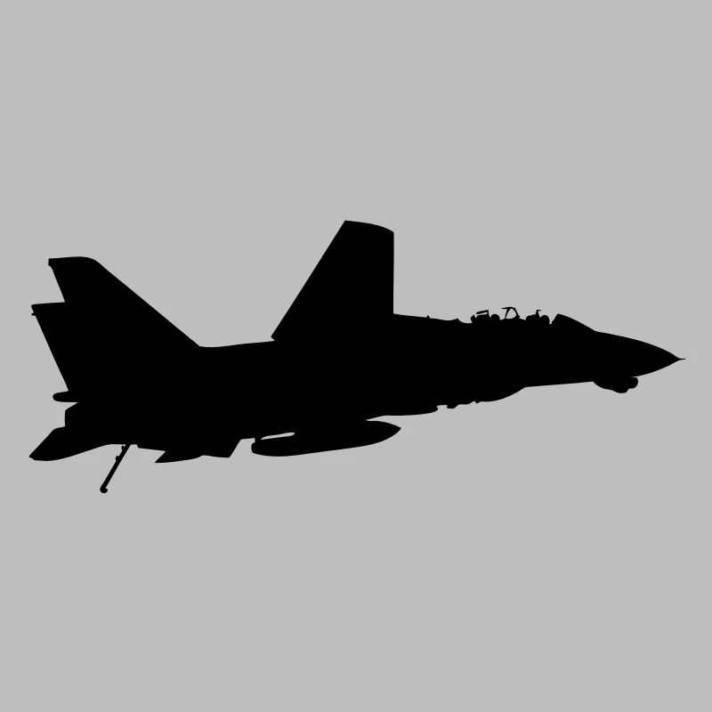F-14 Tomcat