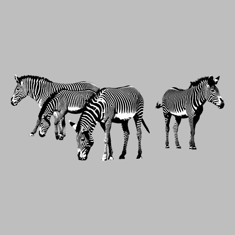 Zebras