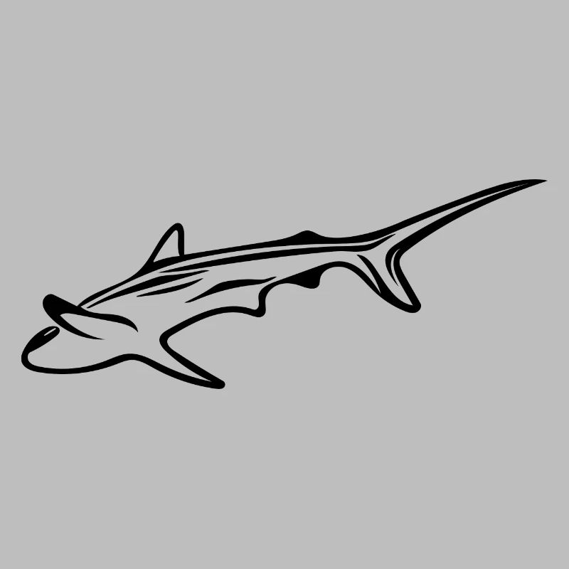 Requin élégant dans le courant de dérive