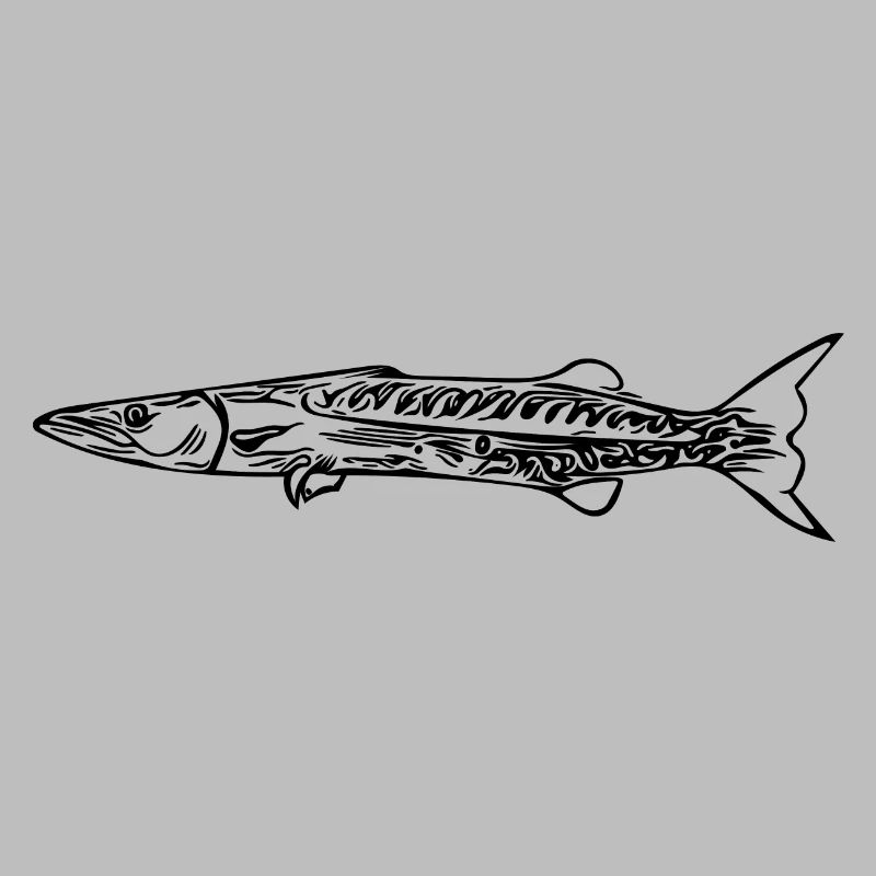 Barracuda Predator Elegant Fast Pike