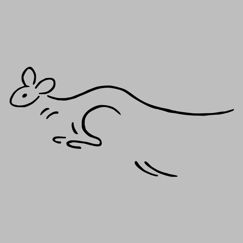 Kangaroo