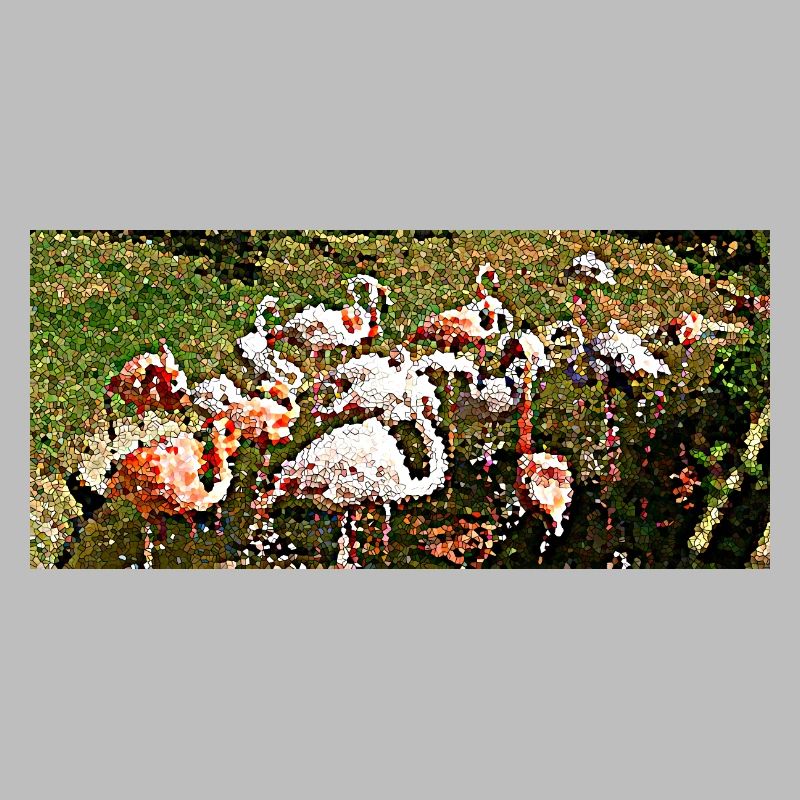 Flamingos