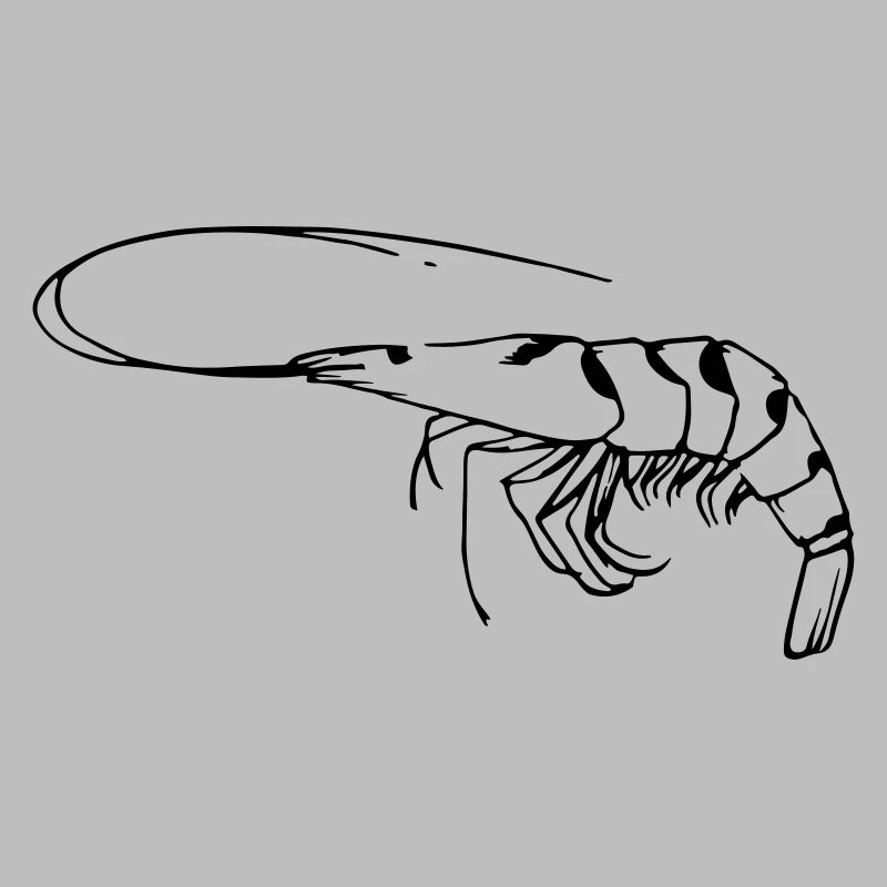Garnele