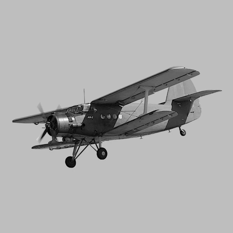 Flugzeug AN2 Doppeldecker Propeller Oldtimer