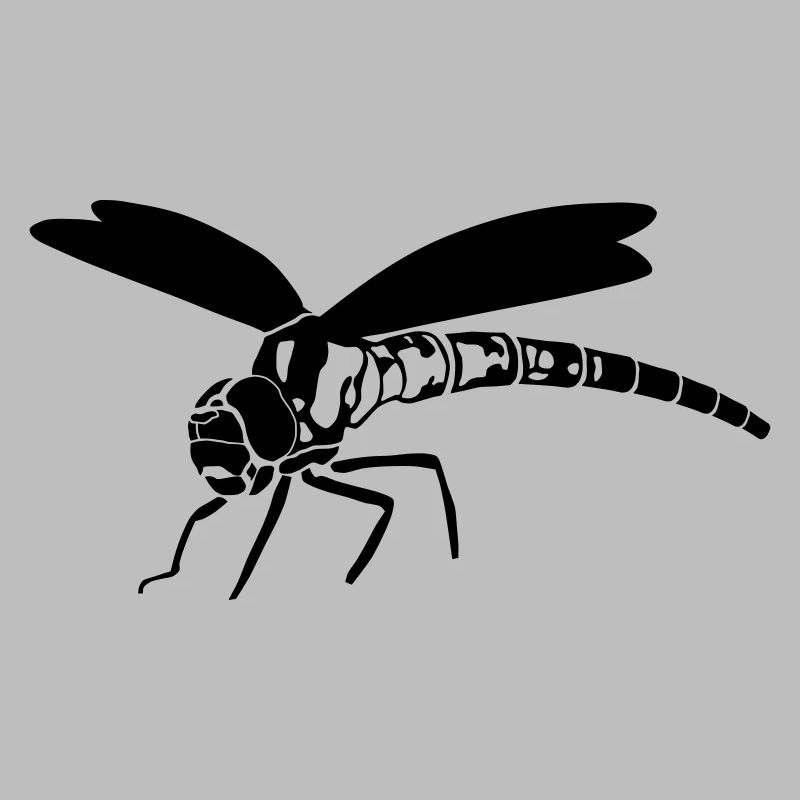 libellule