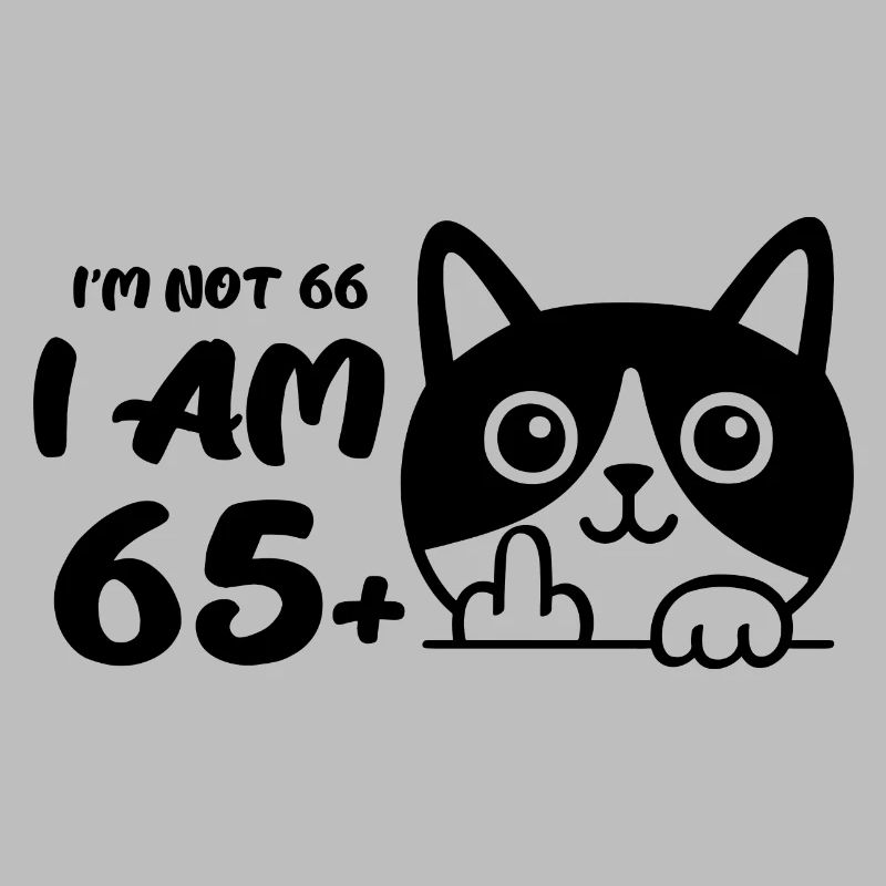 Ich bin nicht 66, ich bin 65 plus 1 Mittelfinger Katze Flip