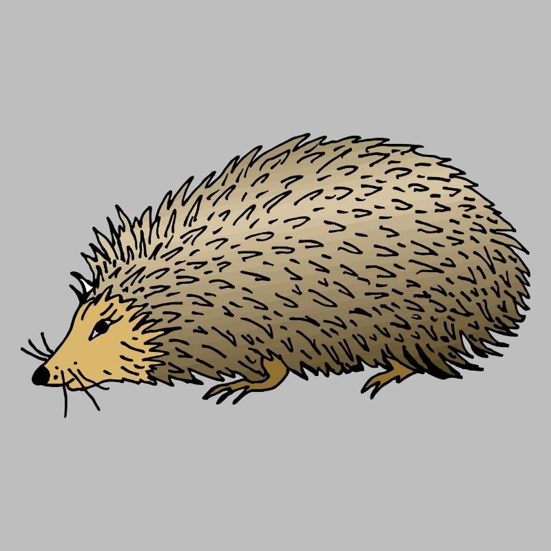 Igel