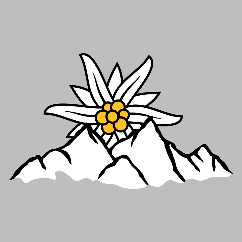 Sonne Bergblume Edelweiss