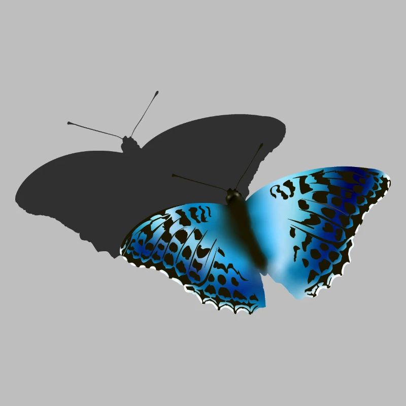 Blue Butterfly