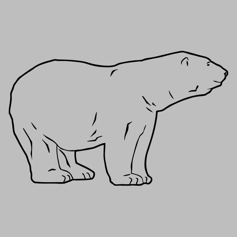 Polar Bear - Eisbär