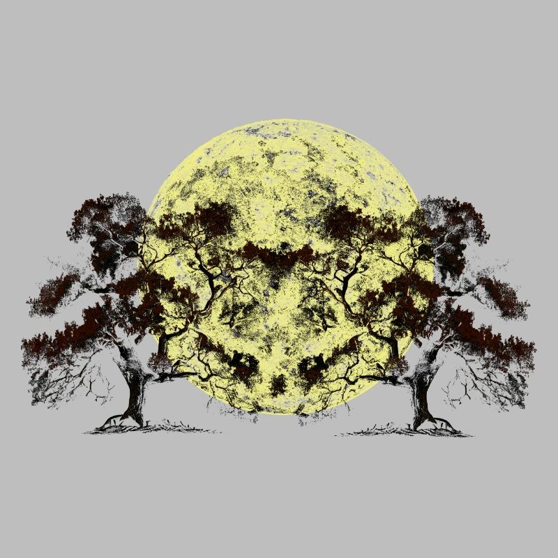 Moon, Forest, Trees, Nature, Botany, Flora