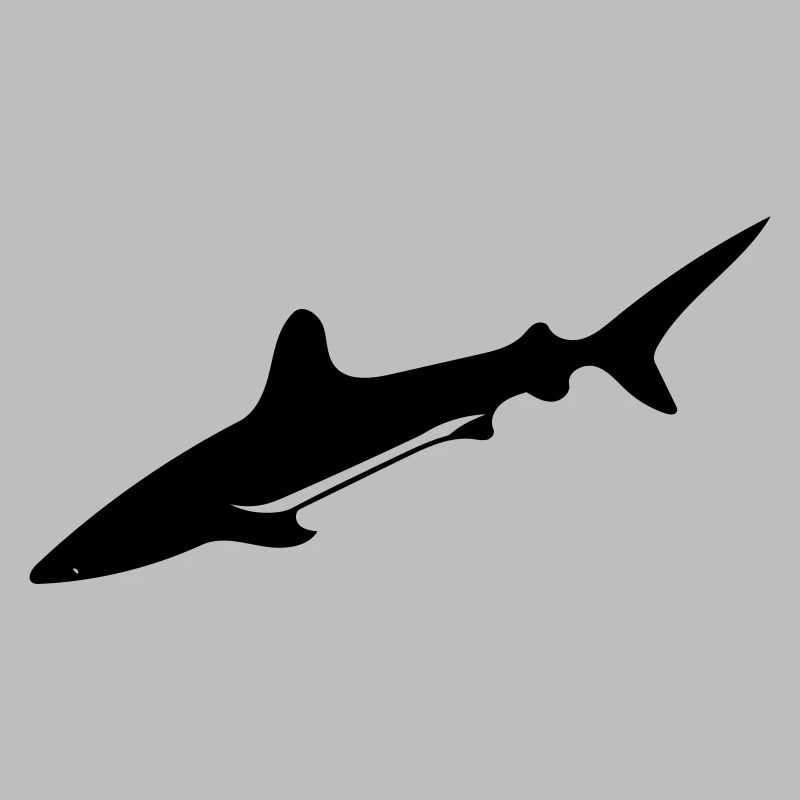 Shark - Vector Design