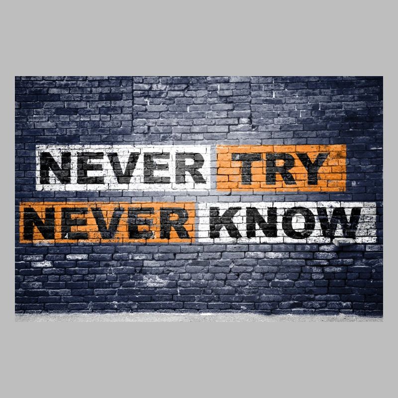 Never Try never know Brick Wall Motivation