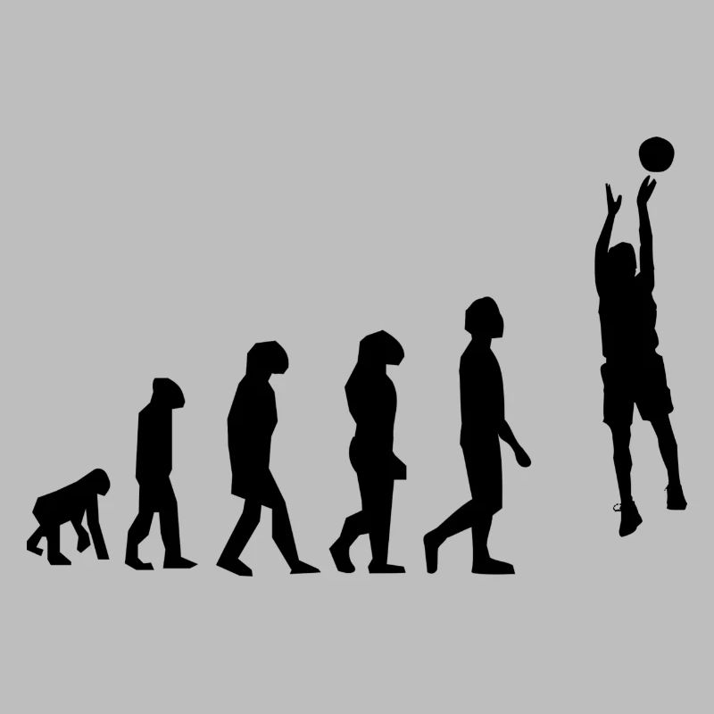 basket évolution