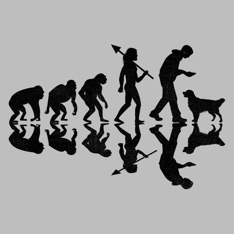 Evolution Golden Retriever GR Dog Retrievers