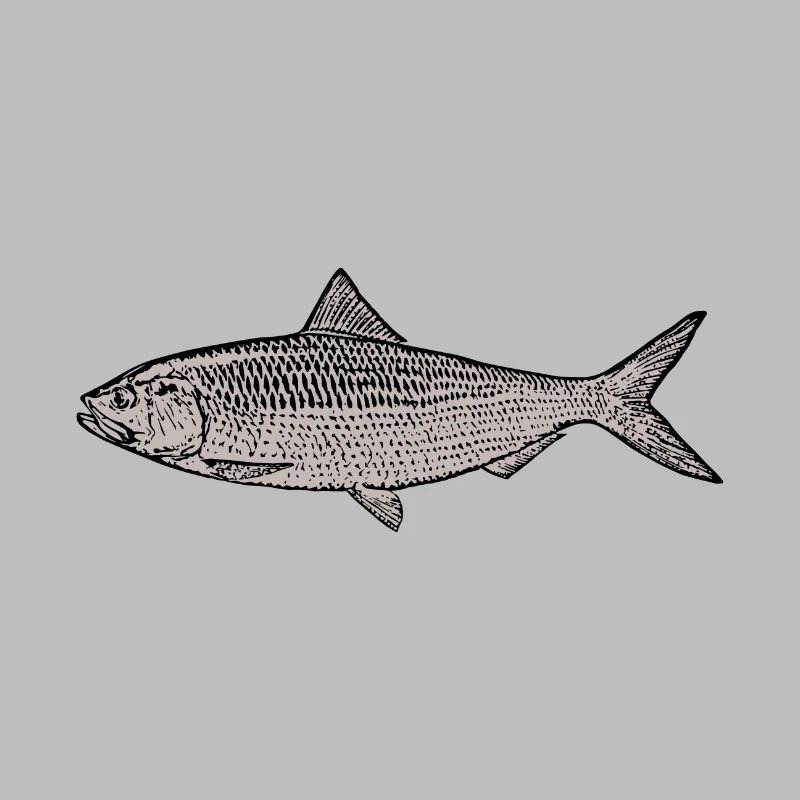 poisson