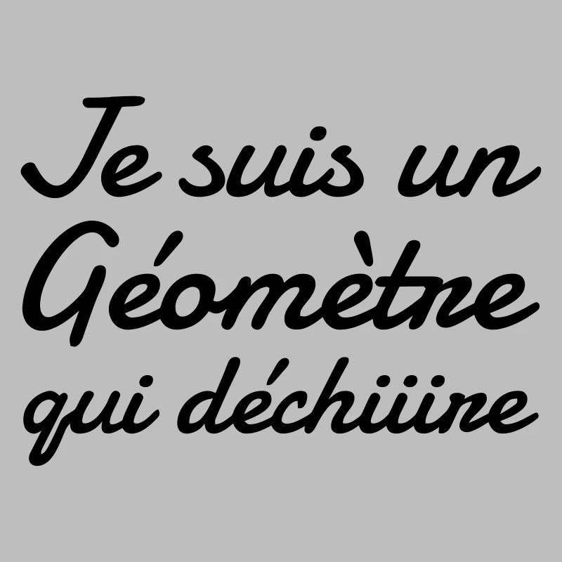 Surveyor / Vermesser / Géomètre / Topographer