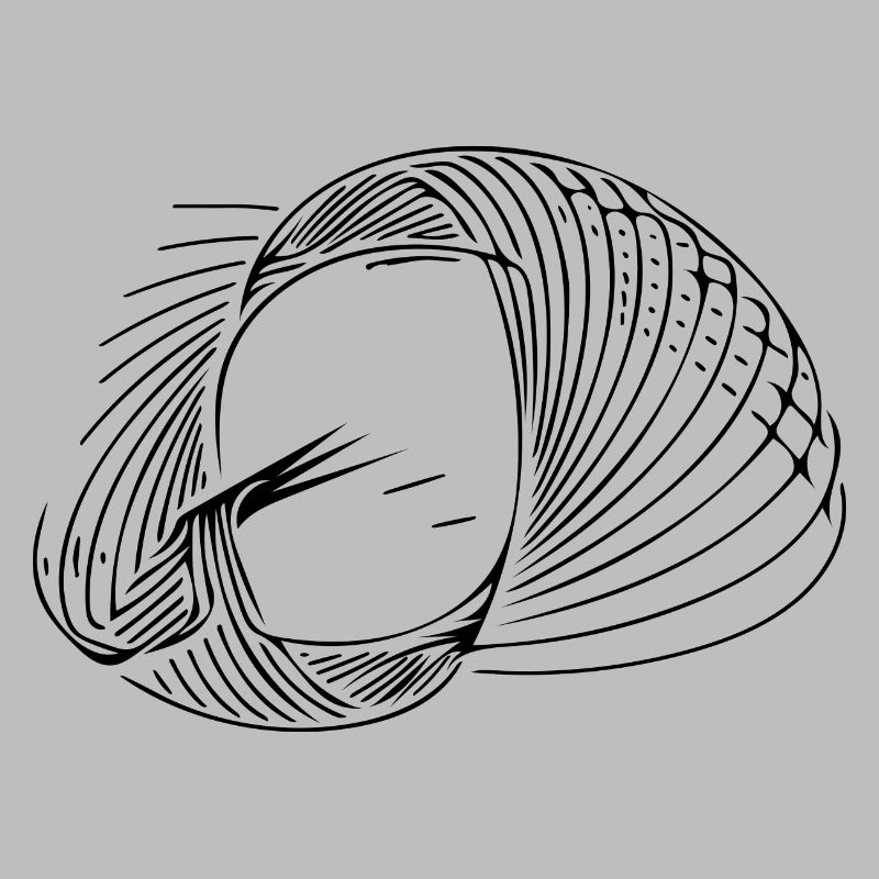 Lignes de cercle géométriques