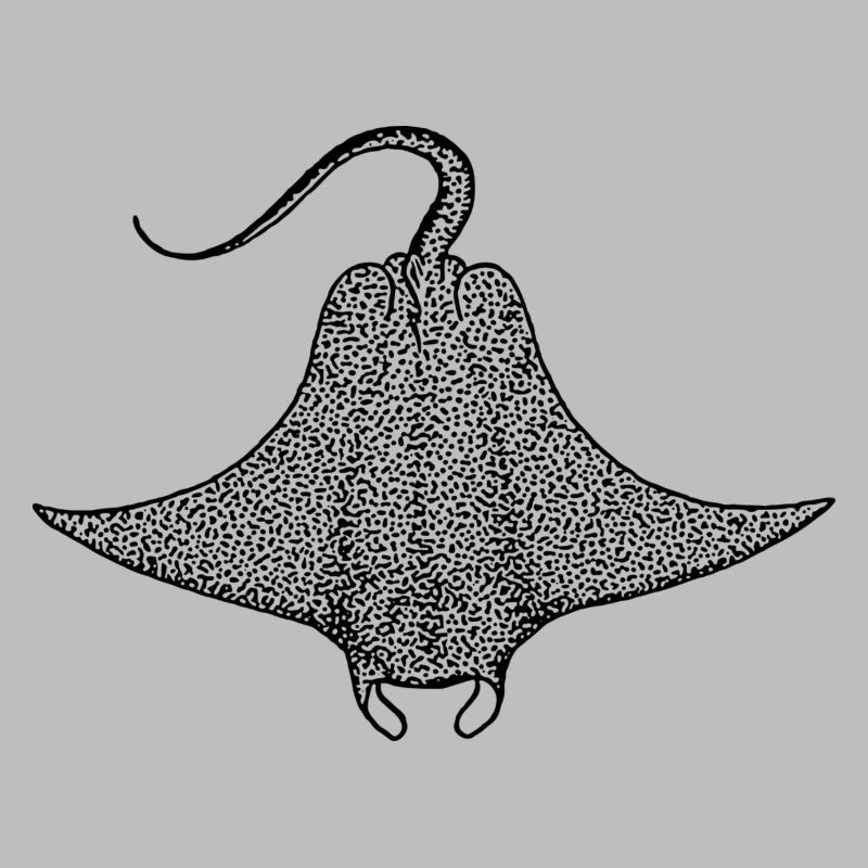 Teufelsrochen