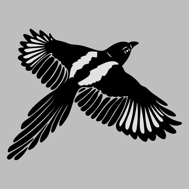 Magpie with large wings.