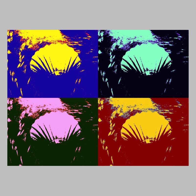 Shell