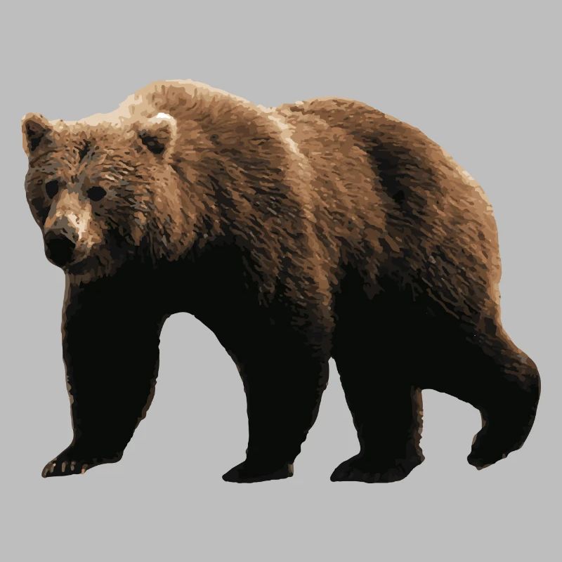 Ours Brun