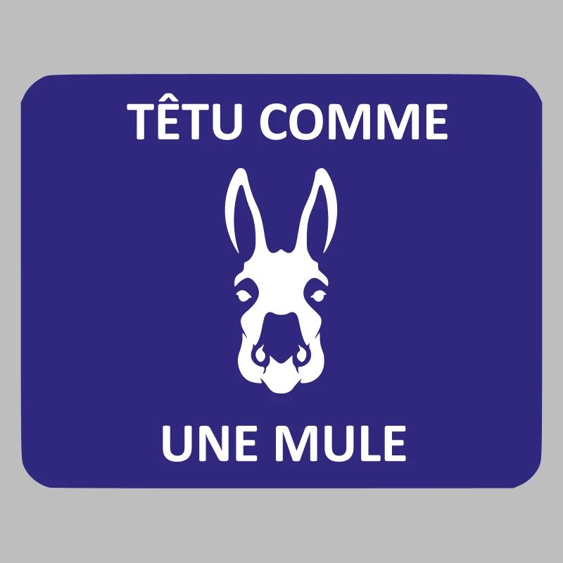 Têtu comme une mule