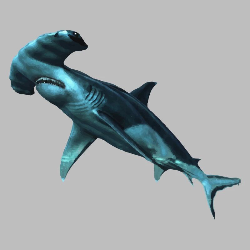 Requin