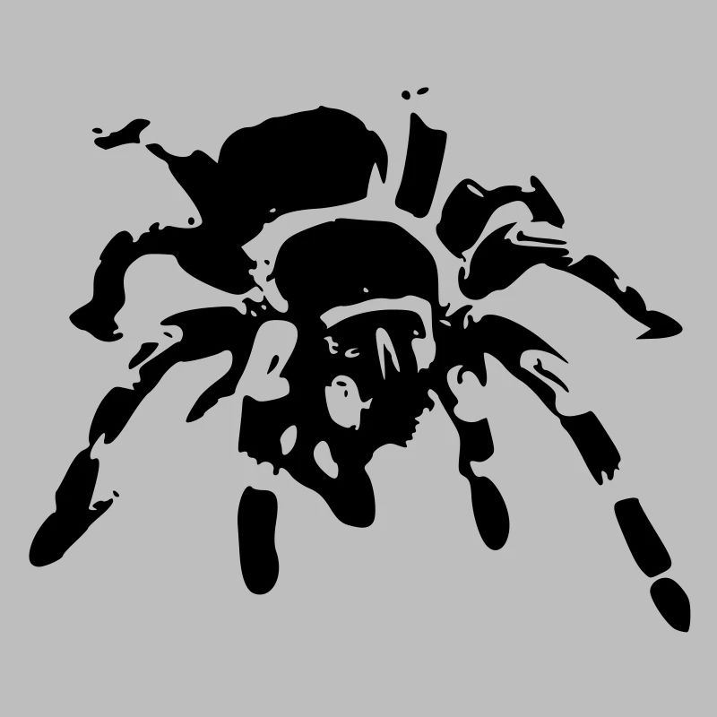 araignée